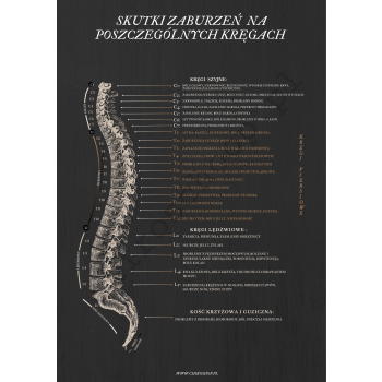 Plakat- Układ nerwowy Model II- Czarny B2