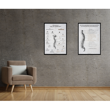 Plakat- Układ nerwowy Model II- Biały B2